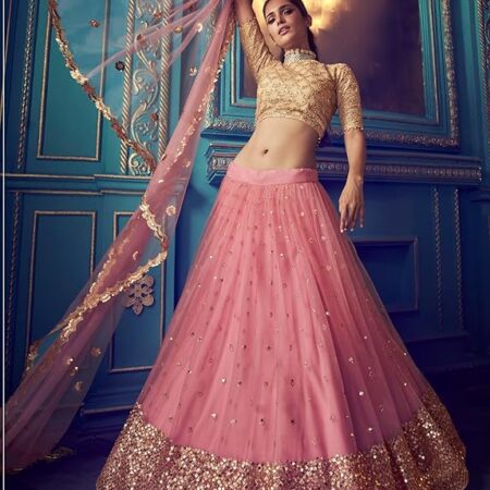 Women's Net Semi Stitched Lehenga Choli with Dupatta